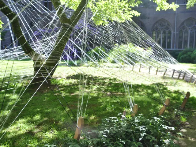 draadinstallatie_VB_KG.JPG