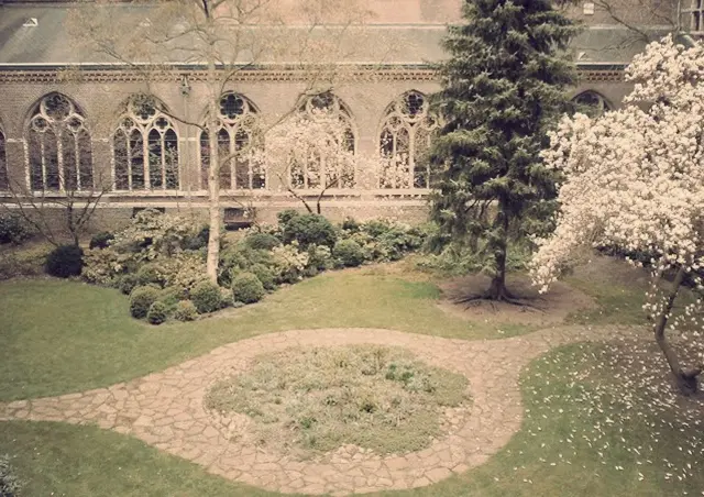 image-71.jpg
