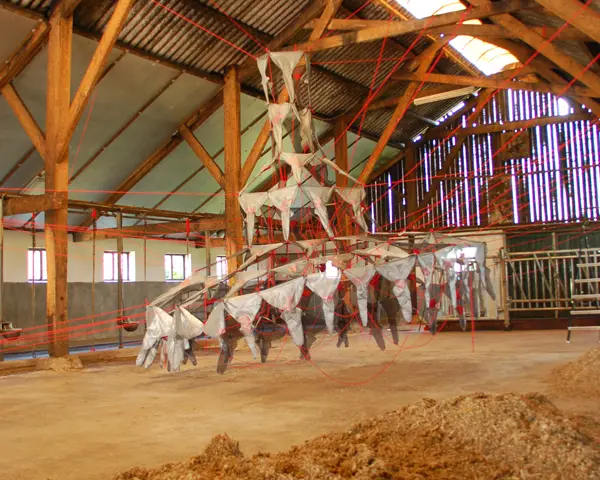 Rood Netwerk