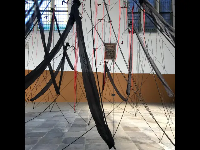 Zwarte lijnen