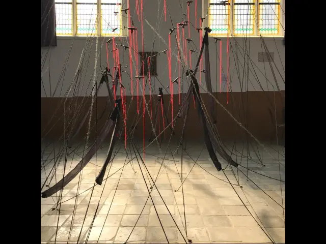 Zwarte lijnen