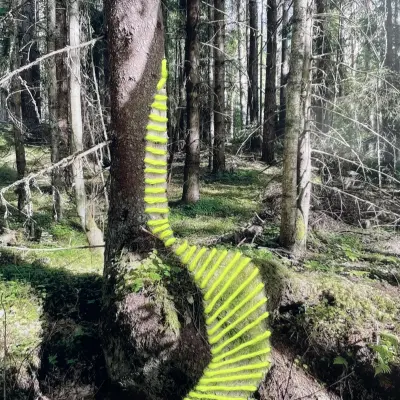 Skogen 