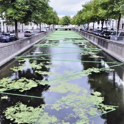 groene verbindingen 