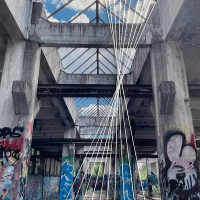 Vit graffiti