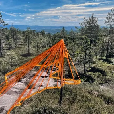 Hogt Landskap  